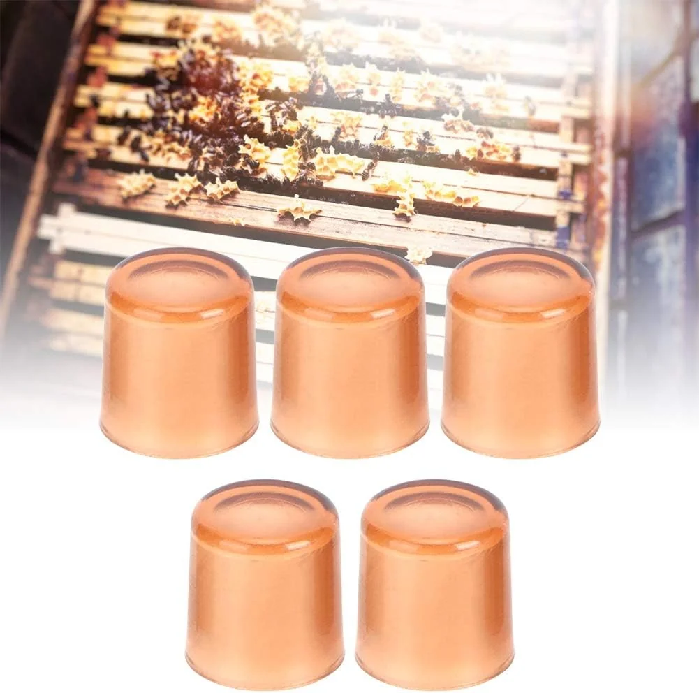 TOPINCN 500Pcs Queen Rearing Cell Cup Plastic Brown