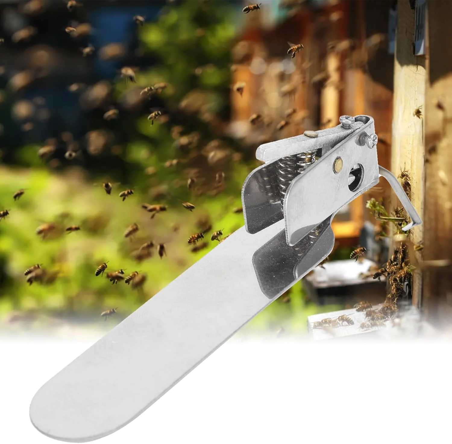 TOPINCN Beekeeping Grafting Tool, Stainless Steel Transfer Needle